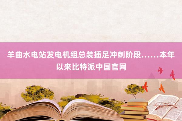 羊曲水电站发电机组总装插足冲刺阶段……本年以来比特派中国官网