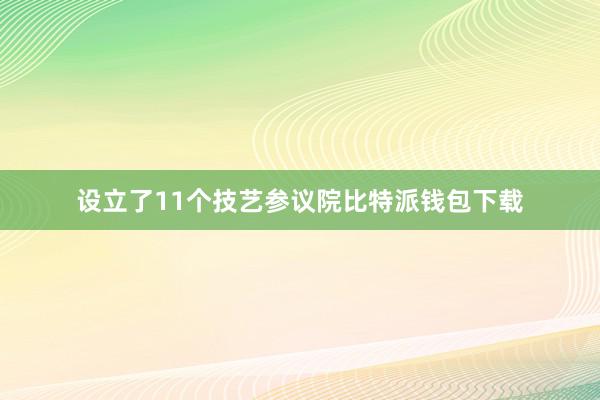 设立了11个技艺参议院比特派钱包下载