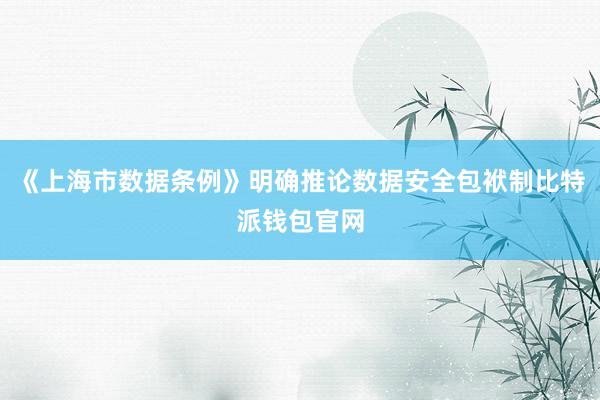 《上海市数据条例》明确推论数据安全包袱制比特派钱包官网