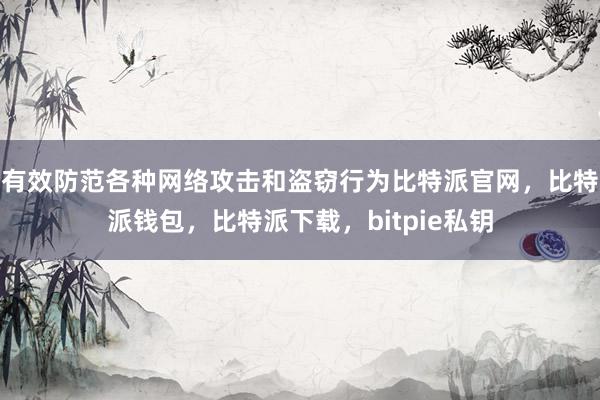 有效防范各种网络攻击和盗窃行为比特派官网，比特派钱包，比特派下载，bitpie私钥