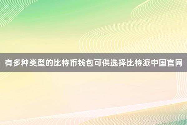 有多种类型的比特币钱包可供选择比特派中国官网