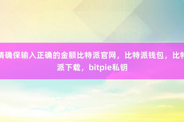 请确保输入正确的金额比特派官网，比特派钱包，比特派下载，bitpie私钥