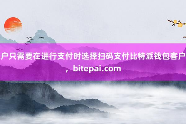 用户只需要在进行支付时选择扫码支付比特派钱包客户端，bitepai.com