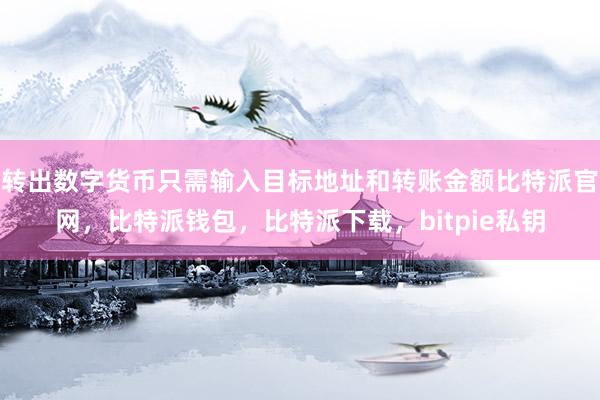 转出数字货币只需输入目标地址和转账金额比特派官网，比特派钱包，比特派下载，bitpie私钥