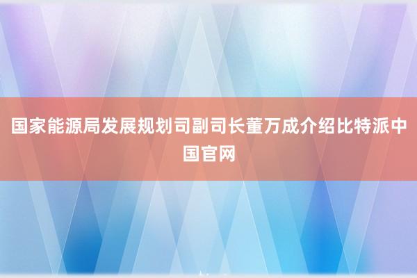 国家能源局发展规划司副司长董万成介绍比特派中国官网