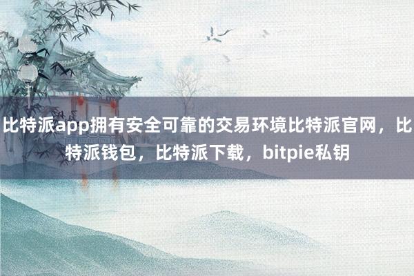 比特派app拥有安全可靠的交易环境比特派官网，比特派钱包，比特派下载，bitpie私钥