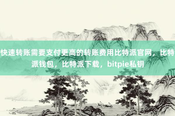 快速转账需要支付更高的转账费用比特派官网，比特派钱包，比特派下载，bitpie私钥