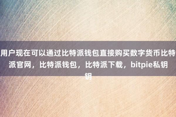 用户现在可以通过比特派钱包直接购买数字货币比特派官网，比特派钱包，比特派下载，bitpie私钥