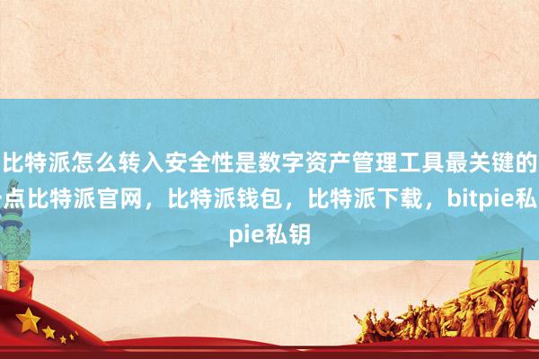 比特派怎么转入安全性是数字资产管理工具最关键的一点比特派官网，比特派钱包，比特派下载，bitpie私钥