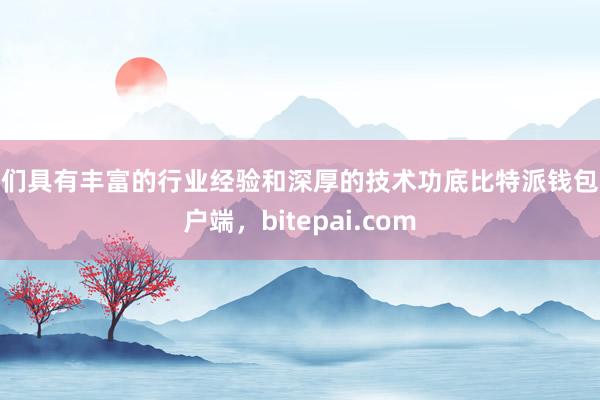 他们具有丰富的行业经验和深厚的技术功底比特派钱包客户端，bitepai.com