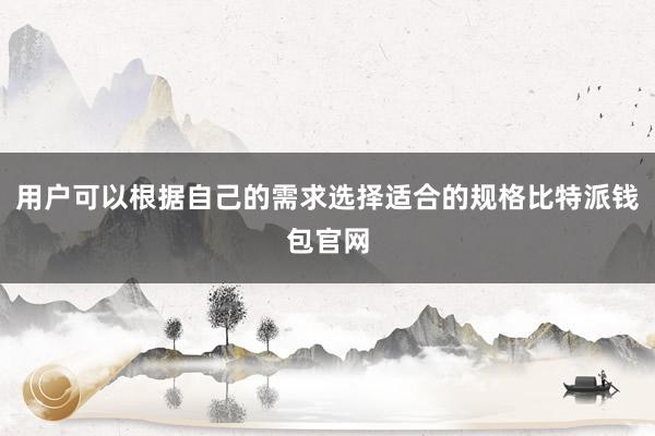 用户可以根据自己的需求选择适合的规格比特派钱包官网