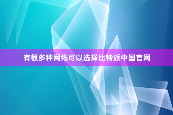 有很多种网线可以选择比特派中国官网