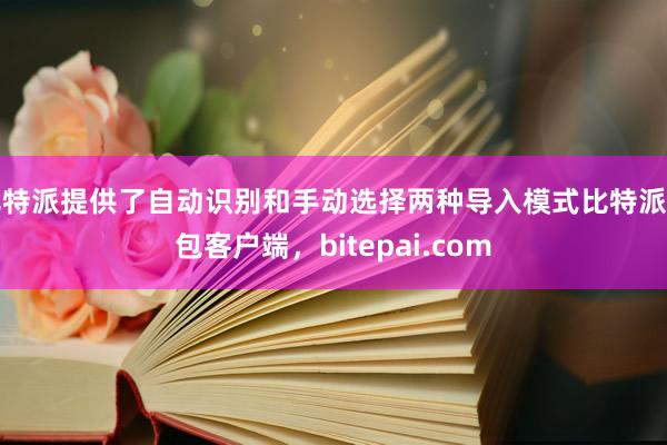 比特派提供了自动识别和手动选择两种导入模式比特派钱包客户端，bitepai.com