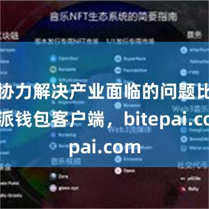 协力解决产业面临的问题比特派钱包客户端，bitepai.com