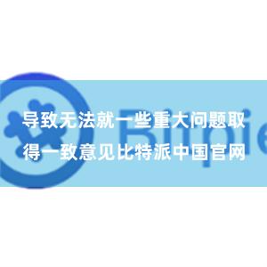 导致无法就一些重大问题取得一致意见比特派中国官网